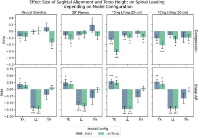 Musculoskeletal spine modeling in large patient cohorts: how morphological individualization affects lumbar load estimation